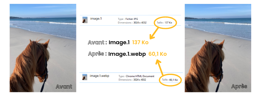 Optimisation des images, format WEBP : résultat 